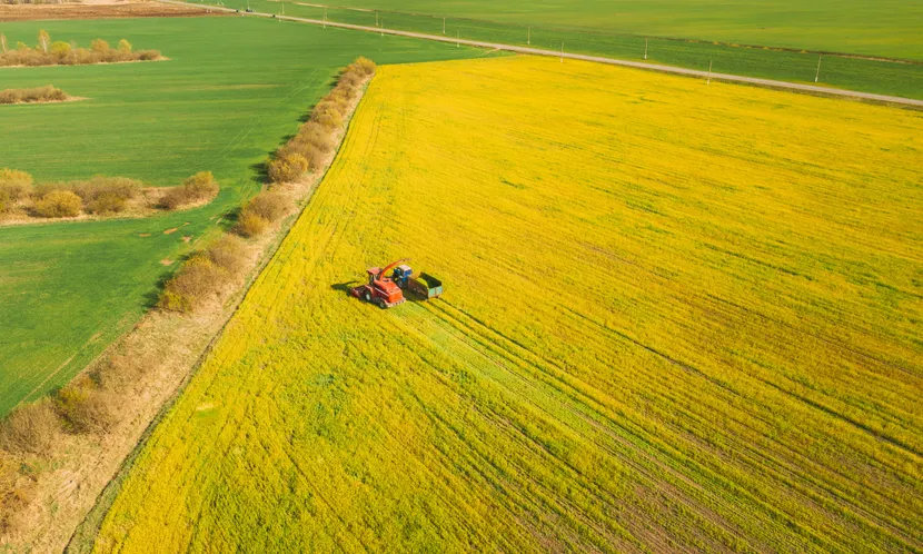 Заполните поля ниже