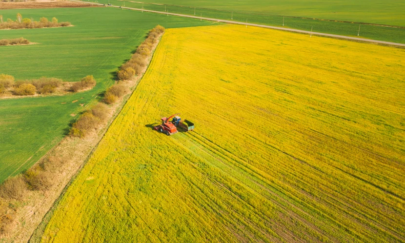 Заполните поля ниже