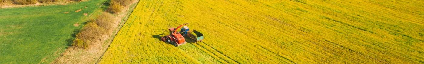 8b07b6da-eb25-4923-a1d0-924563ac3ac8-дизайн без названия — копия.jpeg